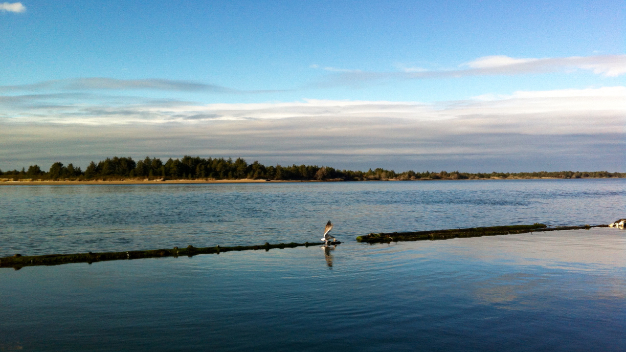 大山淨水背景圖