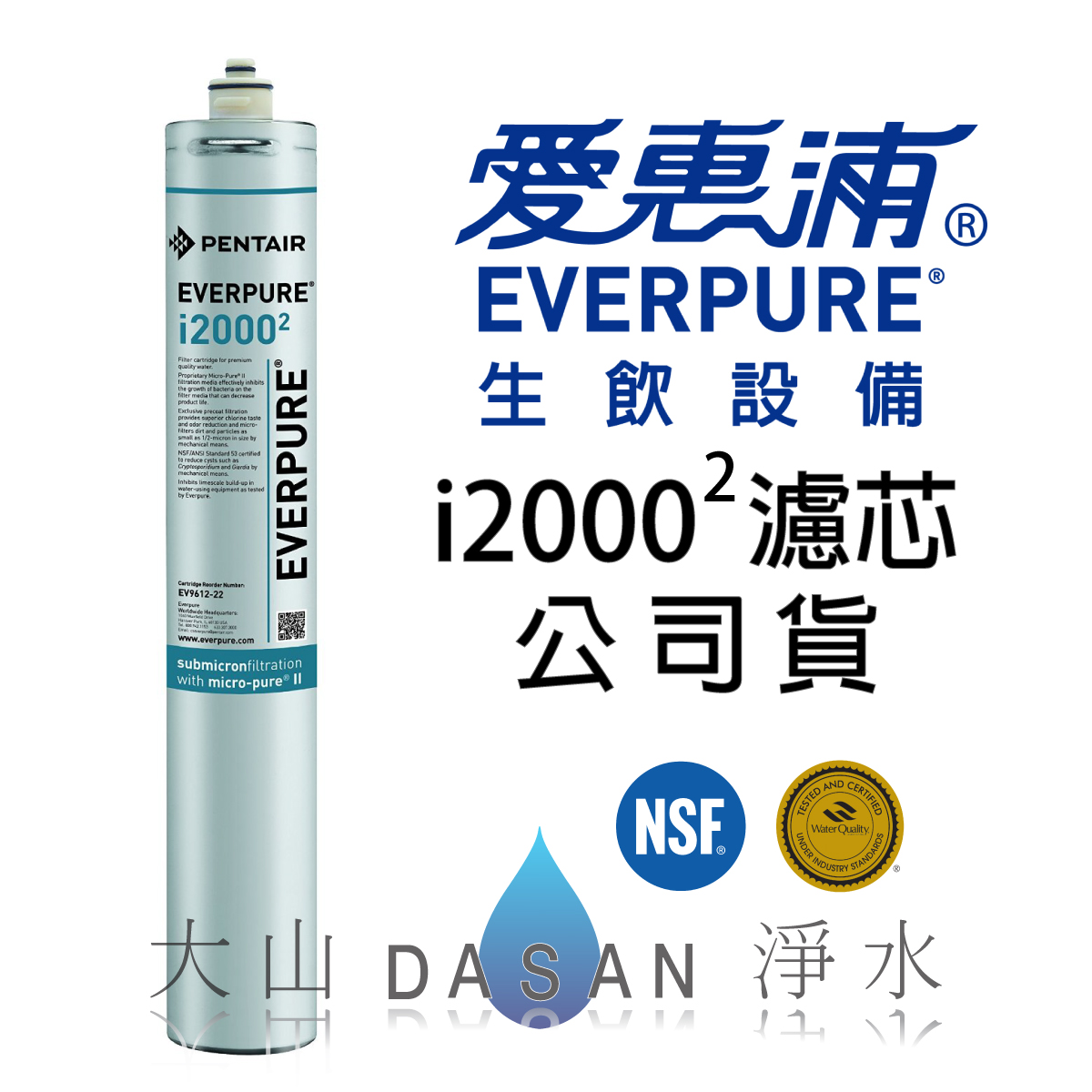 大山淨水愛惠浦EVerpurei20002