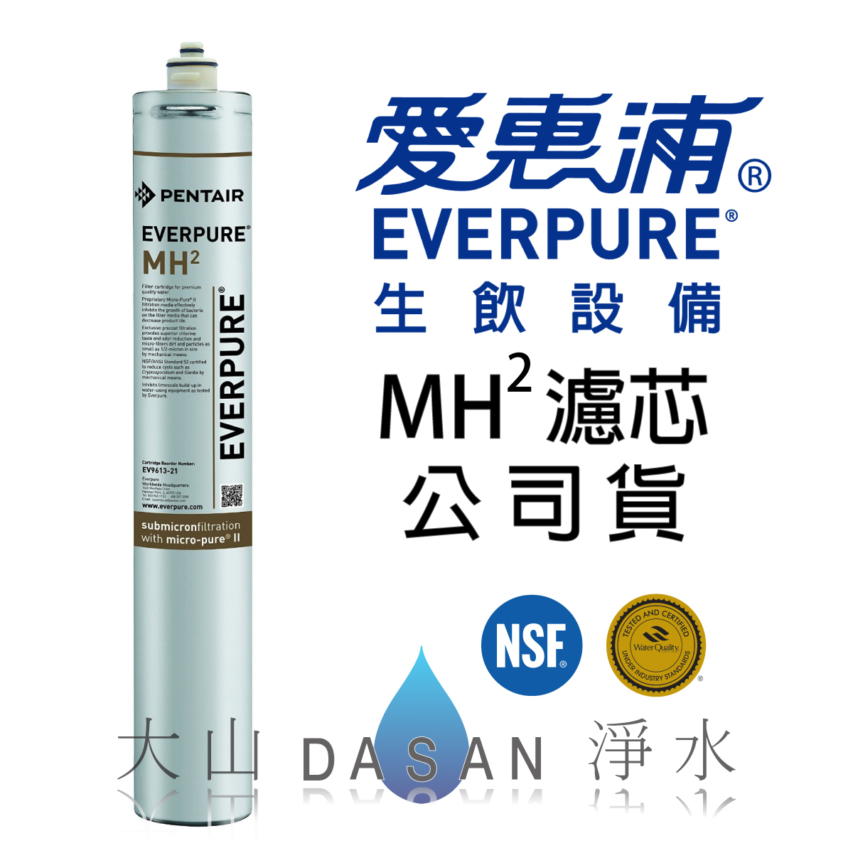 大山淨水愛惠浦EVerpureMH2